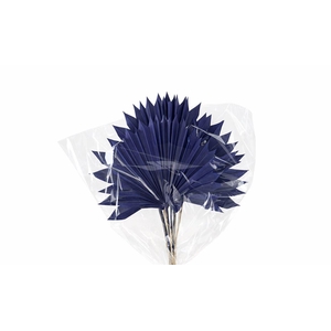 Dried Palm Sun 6pc Dark Blue Bunch