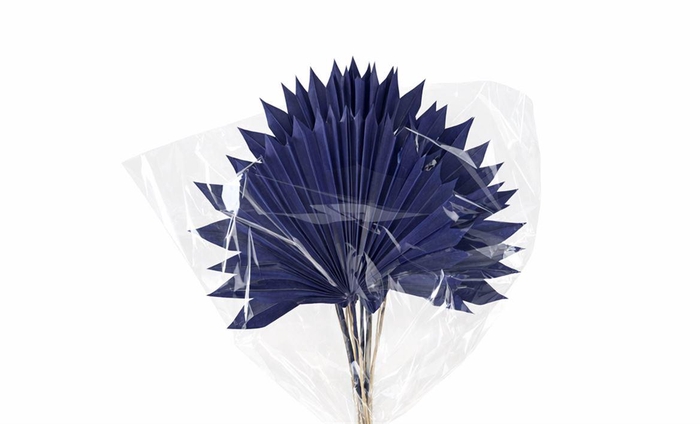 <h4>Dried Palm Sun 6pc Dark Blue Bunch</h4>