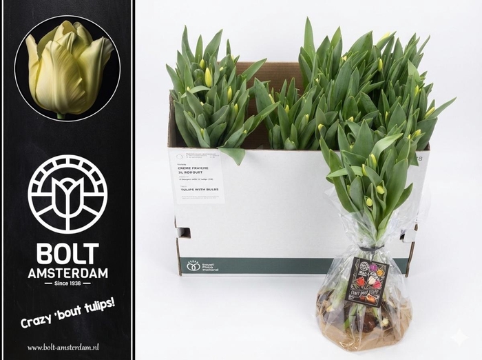 <h4>TU EN CREME FRAICHE</h4>