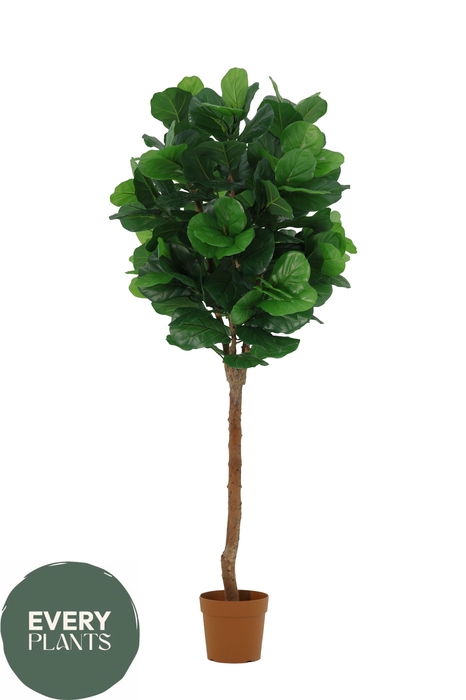 <h4>KUNSTPLANT H%</h4>