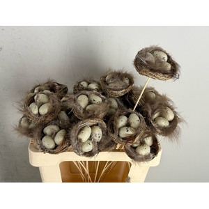 Stick Nest Salim + Egg Natural