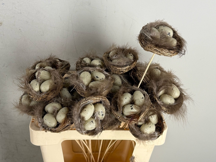 <h4>Stick Nest Salim + Egg Natural</h4>