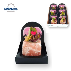 Concepts® - Himalayan Salt Crystal