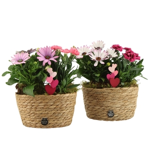 21996: Love outdoor arrangement