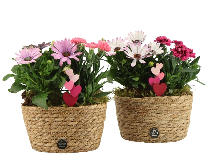 <h4>21996: Love outdoor arrangement</h4>