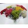 Bouquet Mono Anjers x10 mix 60cm