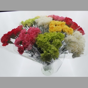 BQ Mono Anjers x10 mix 60cm