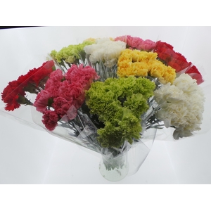 Bouquet Mono Anjers x10 mix 60cm