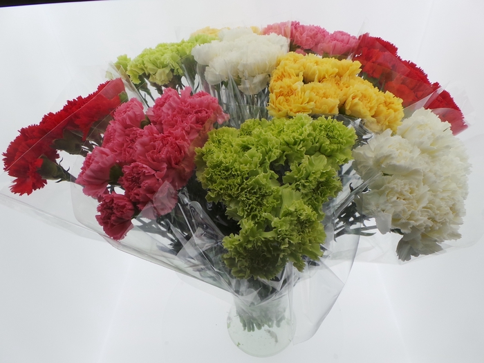 Bouquet Mono Anjers x10 mix 60cm