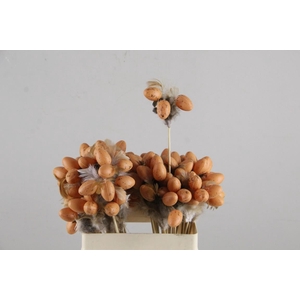 Stick 3 Eggs+Feather Natural