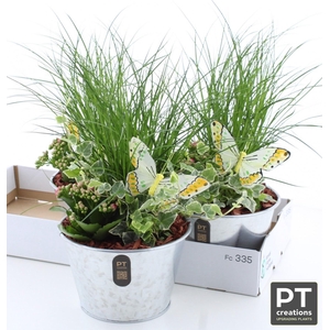 ARR TUINPLANTEN