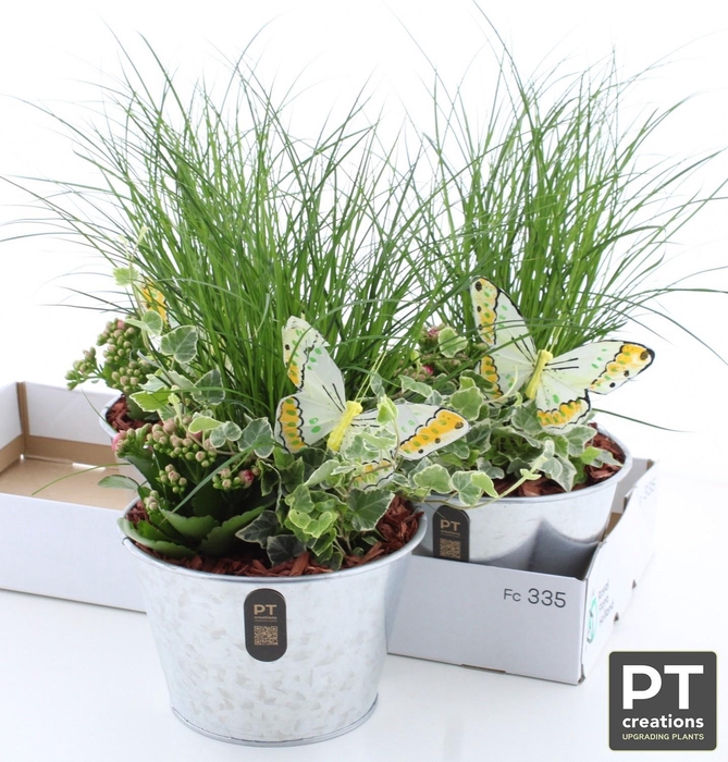 <h4>ARR TUINPLANTEN</h4>