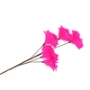 Silk Feather Flower Fuchsia 5 Op Steel 85cm Nm