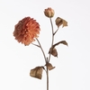 AF Dahlia Dried x2 L61cm Peach