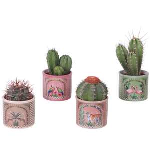 Cactus mix Ø10,5 cm in Ceramic Pot Exotic Animals Ø12cm