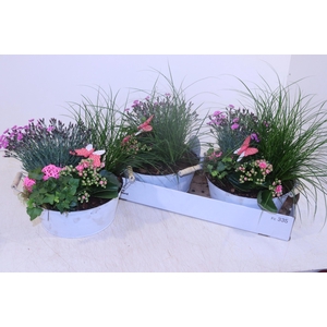 ARR TUINPLANTEN