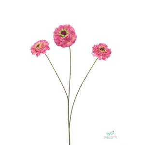 SILK FLOWERS - ZINNIA ELEGANS SPRAY OLD PINK 60CM