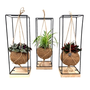 Planten Groen   ...mix  3