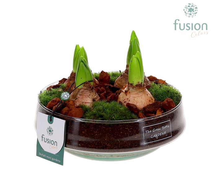 <h4>Green Bottle Iris Medium met Hyacinten</h4>