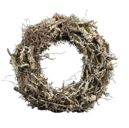 <h4>Krans Moss Bonsais Larix Naturel</h4>