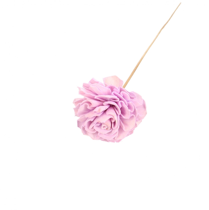 <h4>Bijsteker 50cm Dahlia 10cm</h4>