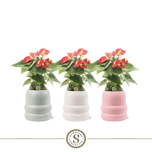 Helsinki Keramiek Red