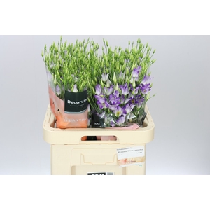 Eust En Botanic Lavender Mist