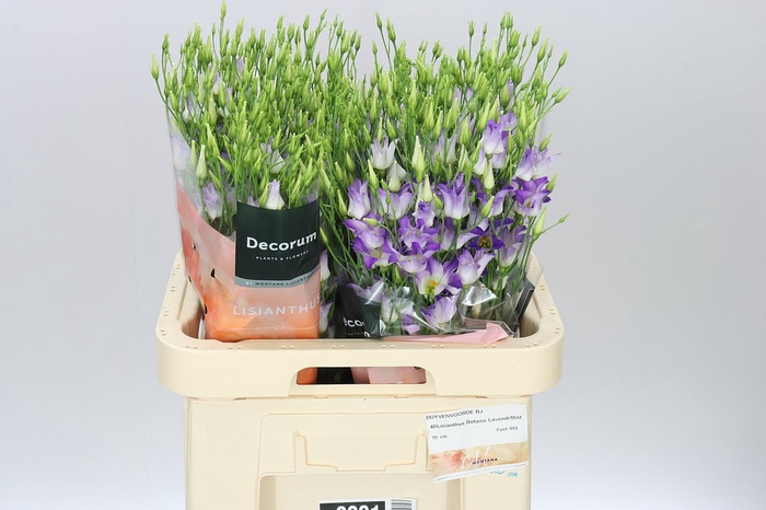 <h4>Eust En Botanic Lavender Mist</h4>