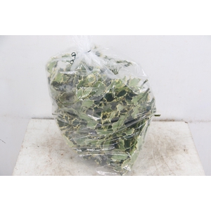 ILEX BONT PER BAG 500g