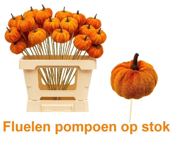 <h4>HUIS EN TUINDECO H%</h4>