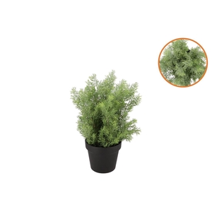 Silk Cypress Green In Pot S 18x18x20cm