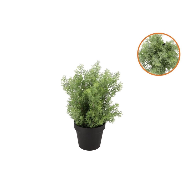 <h4>Silk Cypress Green In Pot S 18x18x20cm Nm</h4>