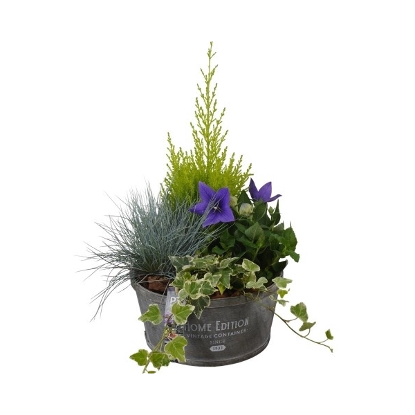 <h4>PTSO8332 Arrangement Summer Outdoor in houten bak</h4>