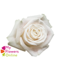 R Gr Playa Blanca White 70cm EC