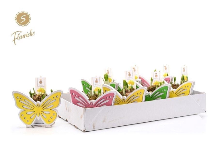 <h4>ARR N TETE A TETE H%</h4>