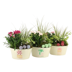 31609: Outdoor summer arrangement