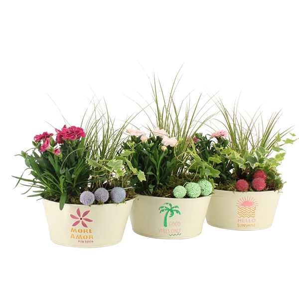 <h4>31609: Outdoor summer arrangement</h4>
