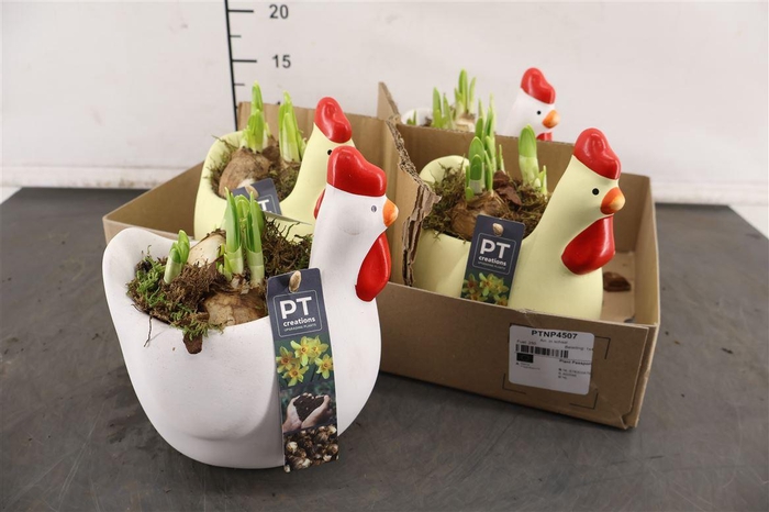 <h4>* Arr Ptnp4507 Kip Keramiek & Narcis Tete A Tete</h4>