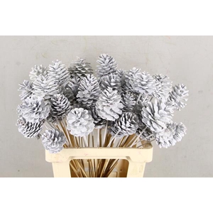 Stick Pine Cone White