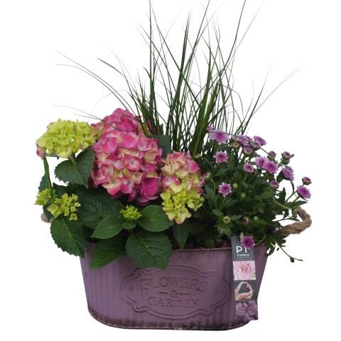 <h4>PTSO6003 Arrangement Summer Outdoor in metalen bak</h4>