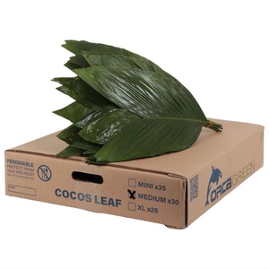 Cocos Medium Orca