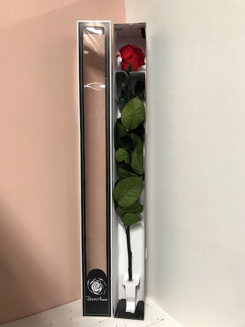 Rose on stem red-02 70h