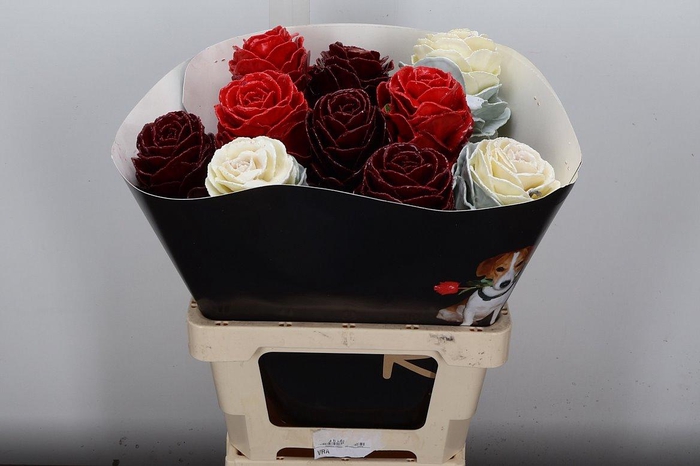 <h4>Brassica Wx (ex) Mix Red White Burgundy</h4>