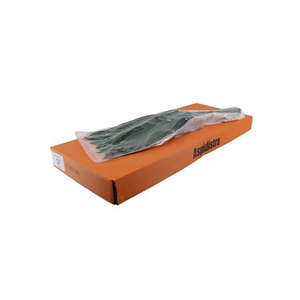ASPIDISTRA 80CM V P QUEENS