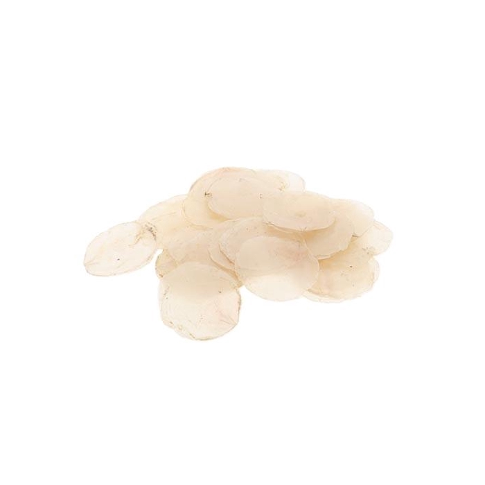 <h4>Capiz Shell 500g</h4>