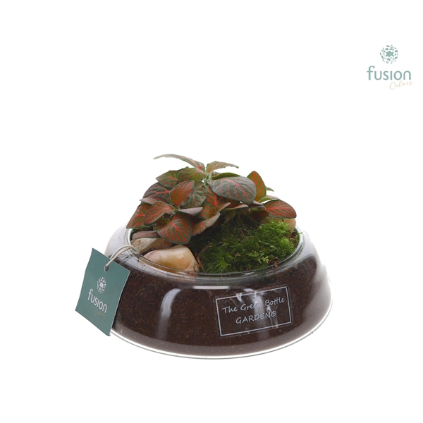 <h4>Green Bottle Christel Small met Fittonia</h4>