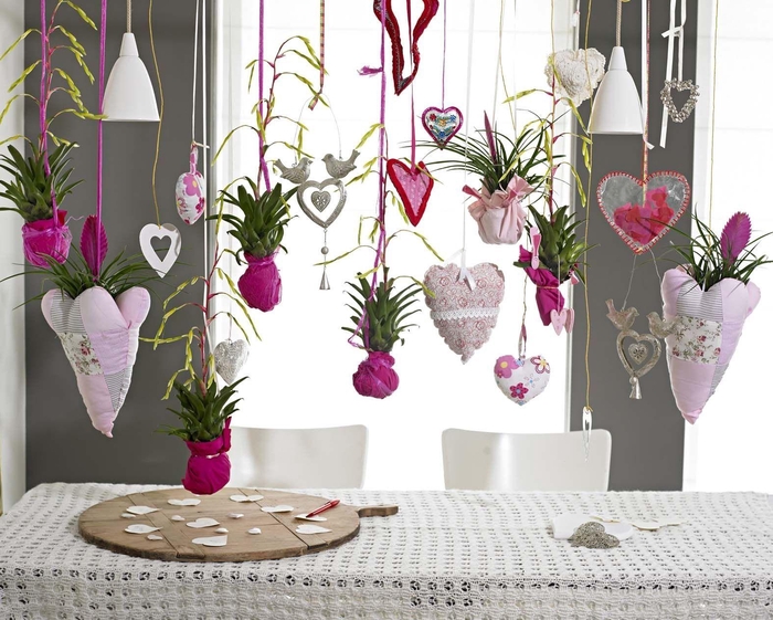 <h4>Vriesea Delicatula</h4>