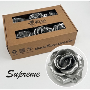 R Zijde Supreme Zilver Wx