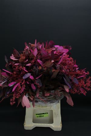 <h4>Euc Pop Bes Purple Mix</h4>