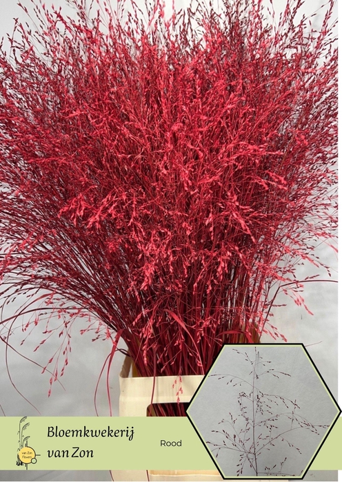 <h4>Siergr Ov Klb H%</h4>